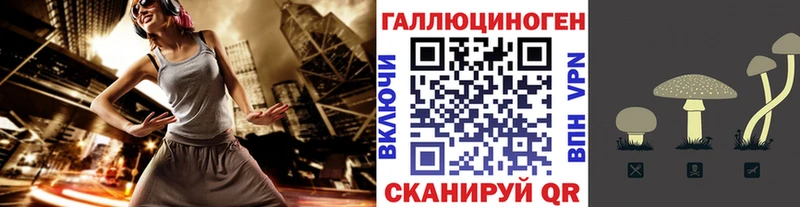 закладка  ссылка на мегу ССЫЛКА  Галлюциногенные грибы мицелий  Нахабино 