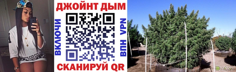 Шишки марихуана Ganja  сайты даркнета какой сайт  Нахабино  магазин продажи  
